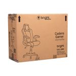 Cadeira-Gamer-Ergonomica-Reclinavel-Bright