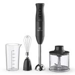 Mixer-3-em-1-Electrolux-Preto-600W-com-Haste-em-Inox-e-Tecnologia-TruFlow--EIB20-